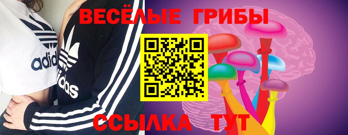 Псилоцибиновые грибы Psilocybine cubensis Гулькевичи